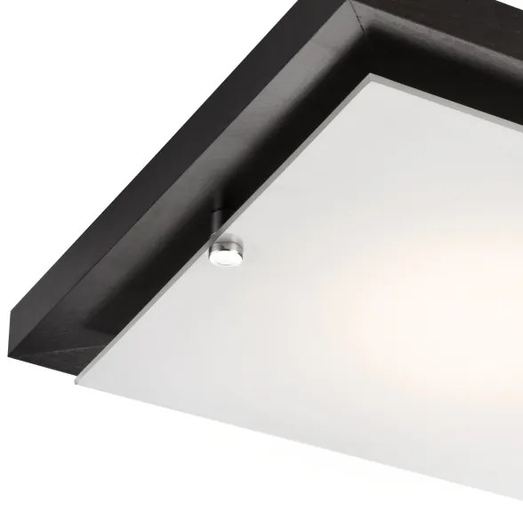 Lampada da soffitto 1xE27/60W/230V