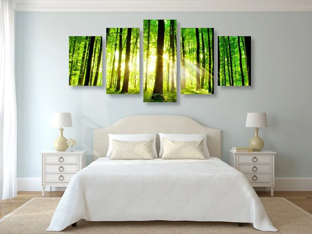Quadri 5 pezzi – Foresta verde fresca