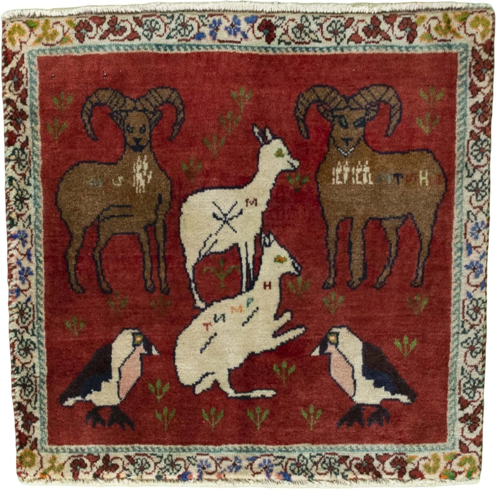 Shiraz Tappeto 60x60 Rosso (Iran) Annodato A Mano