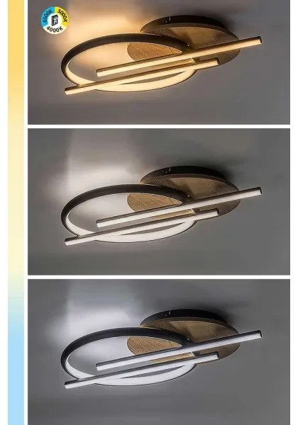 Rabalux 71404 - Plafoniera LED ARASH LED/40W/230V 3000/4000/6500K