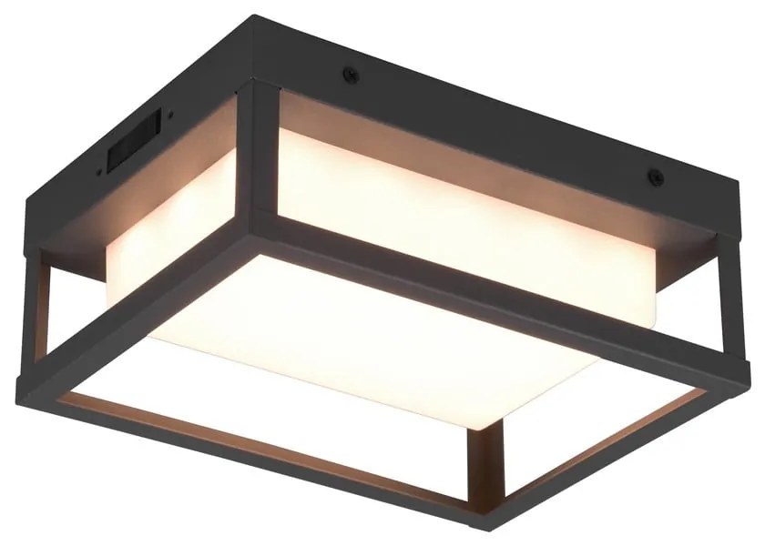 Lampada da parete per esterni a LED (altezza 24 cm) Witham - Trio