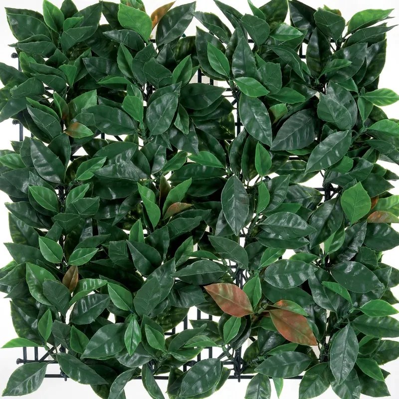 Siepe artificiale Photinia Divy 3D in polietilene, verde H 1 m x L 1 m