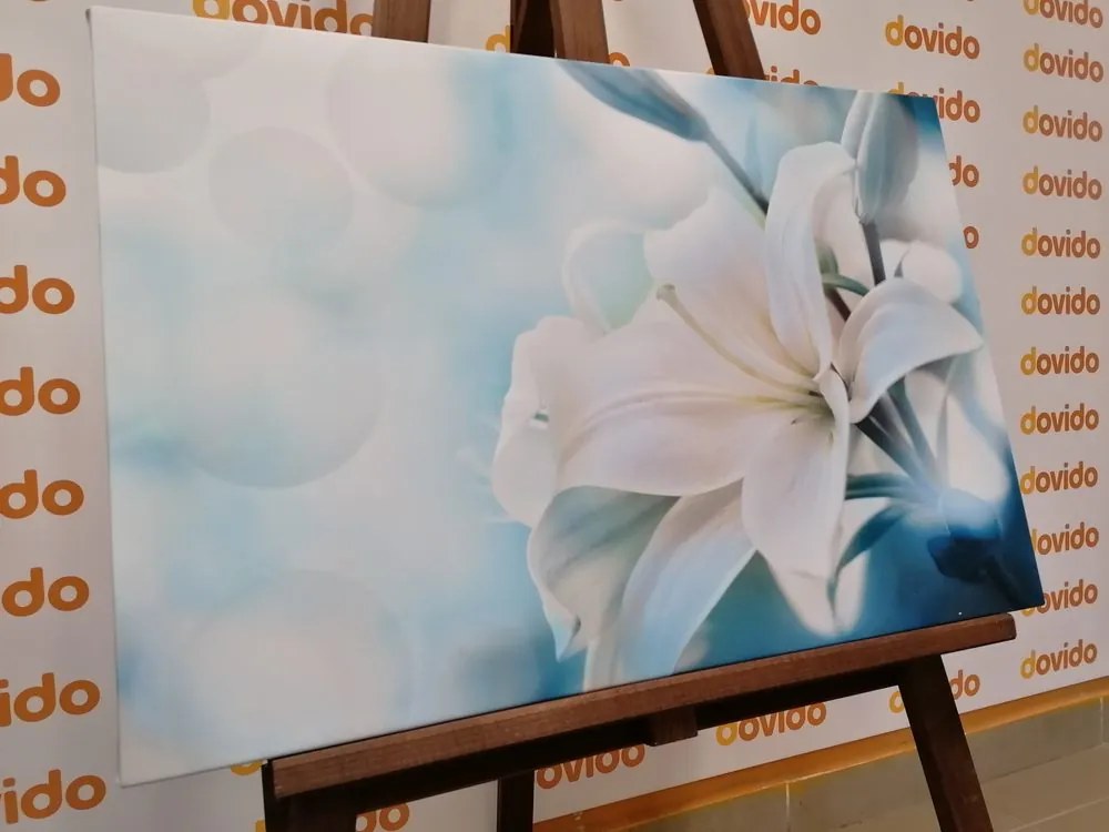 Quadro su tela – Fiore bianco di giglio su sfondo astratto