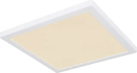 Globo 12380-24W - Plafoniera LED LASSE LED/24W/230V 3000/4000/6500K bianco