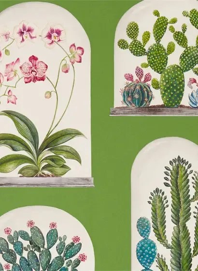 Sanderson Carta da parati Terrariums - Botanical Green/ Multi