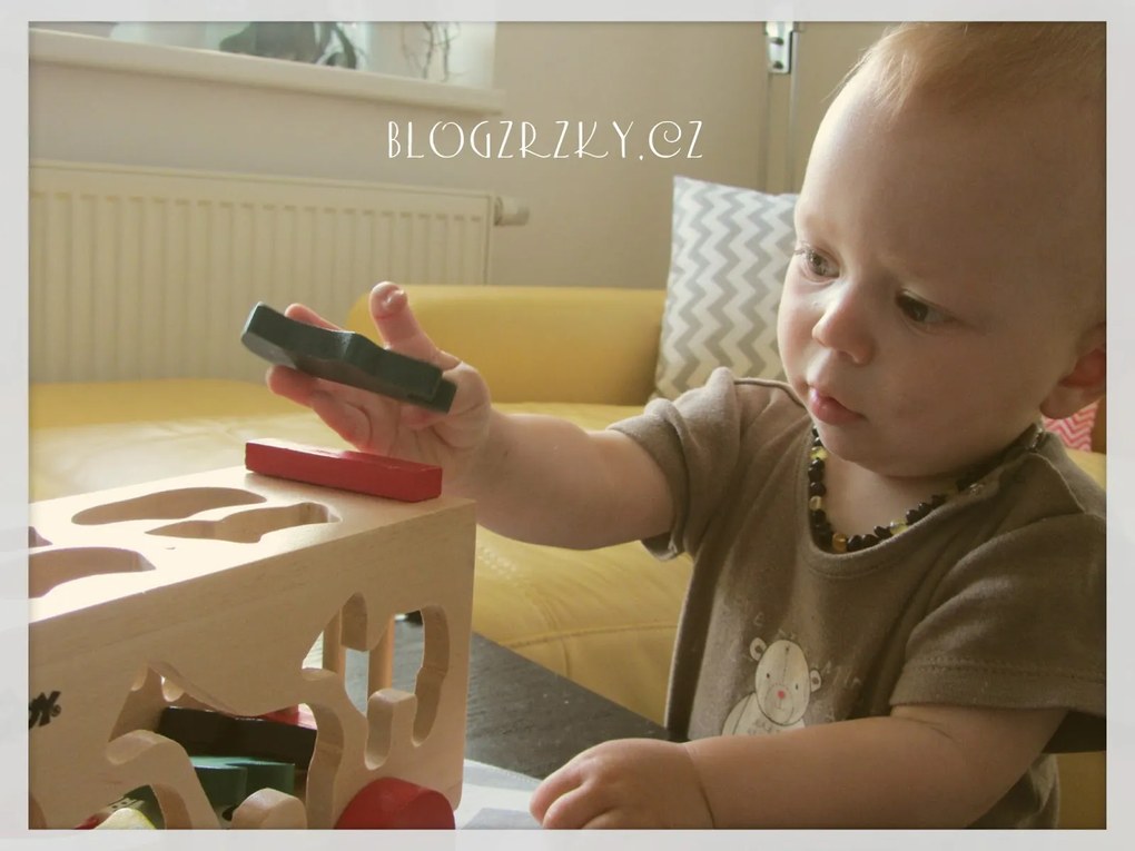 Camion con forme inseribili - animali