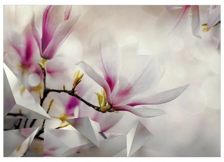 Fotomurale adesivo  Subtle Magnolias  Third Variant  Larghezza x Altezza Home decor 147x105