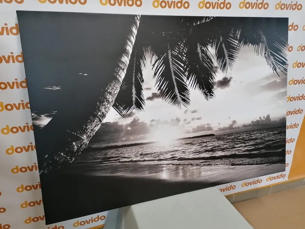 Stampa su tela – Alba sulla spiaggia caraibica in bianco e nero