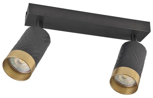 Faretto ARRAS 2xGU10/10W/230V nero