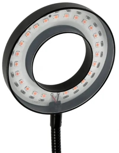 Lampada da tavolo LED Stm flex con clip per piante VITARO 2xLED/4W/230V nera