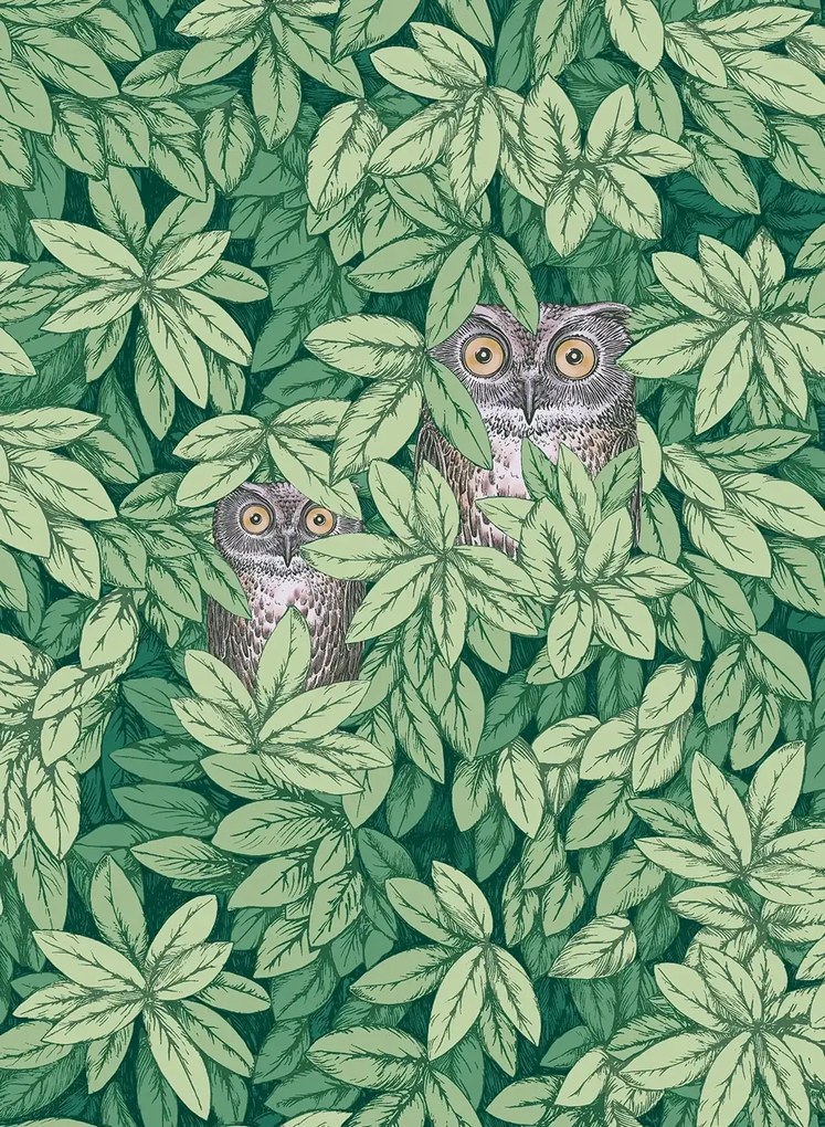 Cole & Son Tapete Foglie e Civette - Forest Green