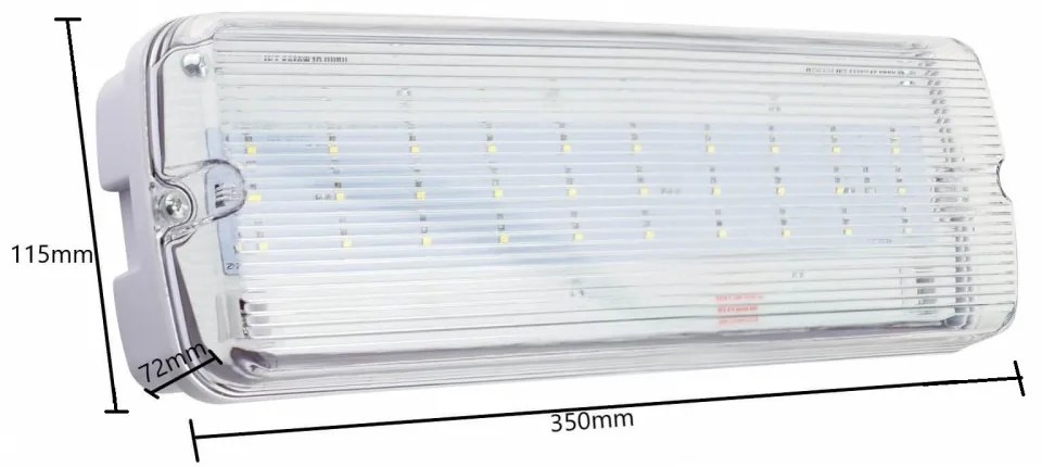 Lampada Emergenza LED da Soffitto o Parete IP65 Colore Bianco Freddo 6.000-6.500K