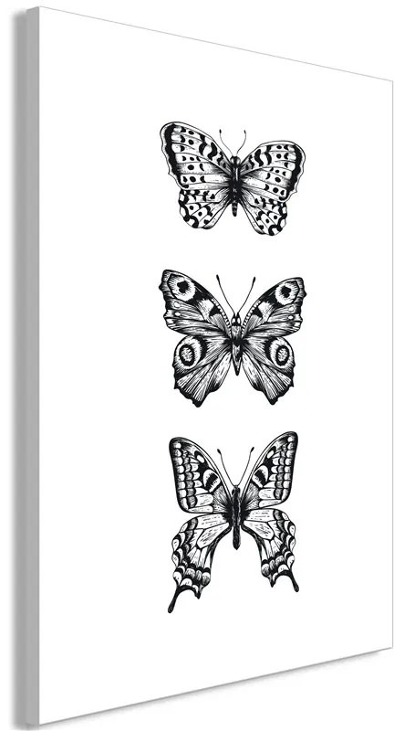 Quadro Three Butterflies (1 Part) Vertical  Colore bianco e nero, Dimensioni e Misure 40x60