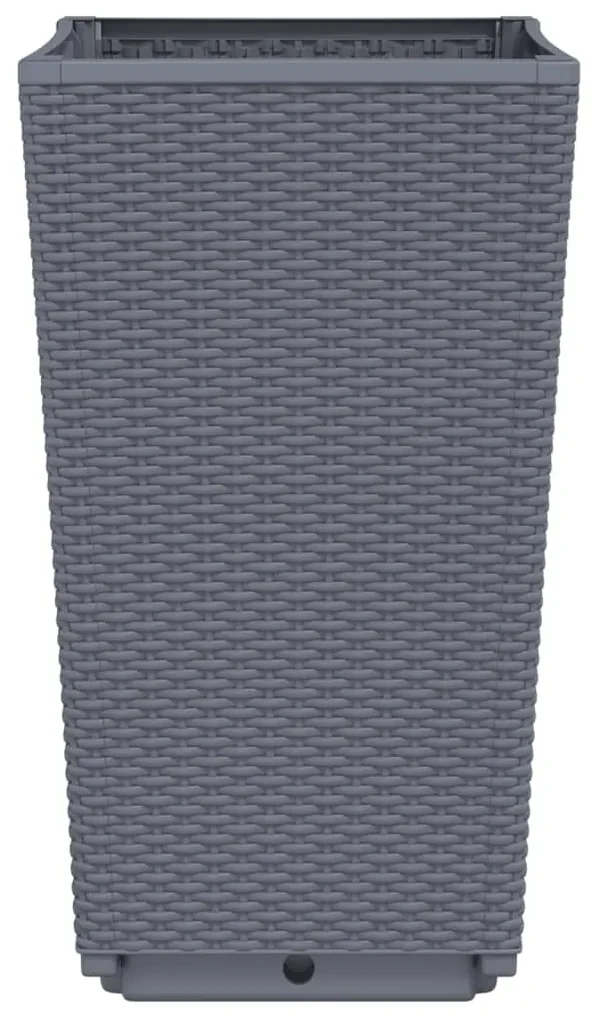 565604_4