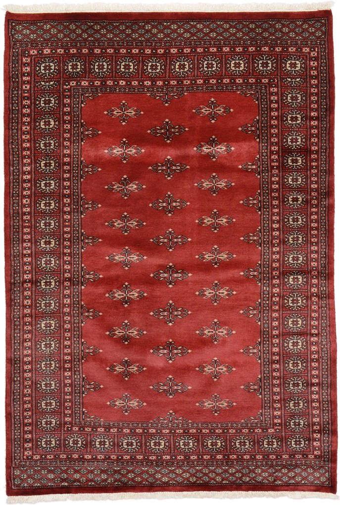 Bokhara Tappeto orientale 180x120 (Pakistan) Annodato A Mano