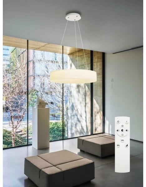 Top Light - Lampadario LED dimmerabile su cavo HALO LED/40W/230V 3000-6500K Ø 44 cm + telecomando