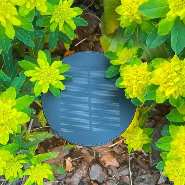 Zuma Line DT33611 - Lampada solare LED CARLI LED/2W/2000 mAh IP44 nero