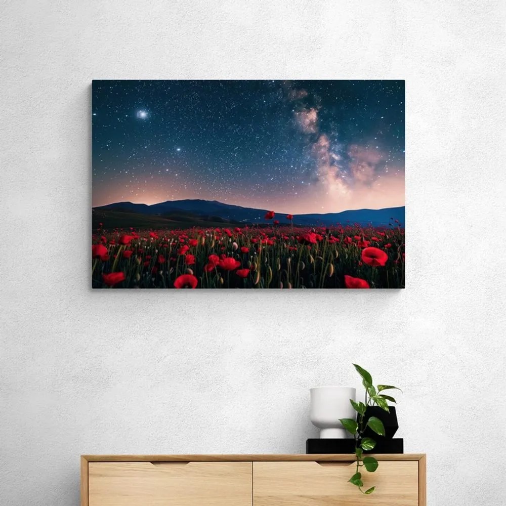 Quadro su tela – Prato di papaveri selvatici sotto le stelle