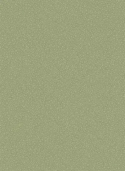 Cole & Son Carta da parati Pebble - Dark Olive