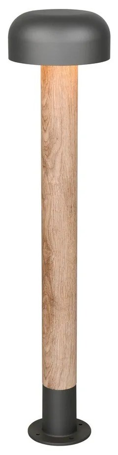 Illuminazione esterna a colonna ø 19 cm Fraser – Trio