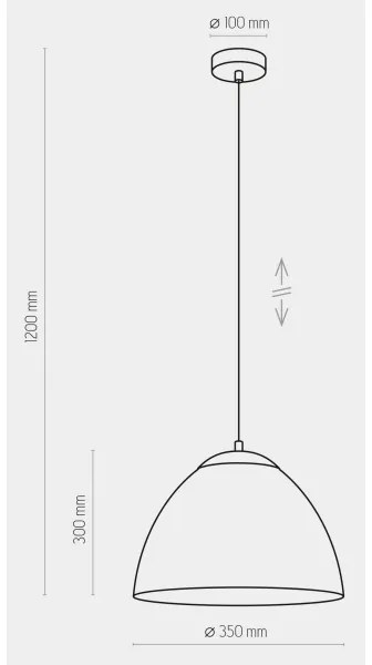 Lampadario su filo FARO 1xE27/60W/230V nero
