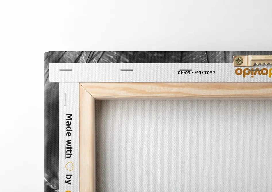 Quadro su tela – Soffione in bianco e nero