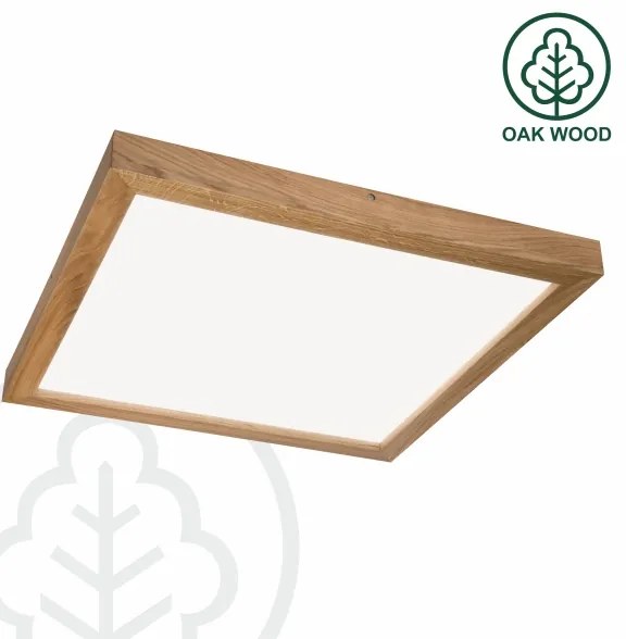 Brilagi - Lampada da bagno LED WOODY FRAME LED/40W/230V 60x60 cm IP44 rovere