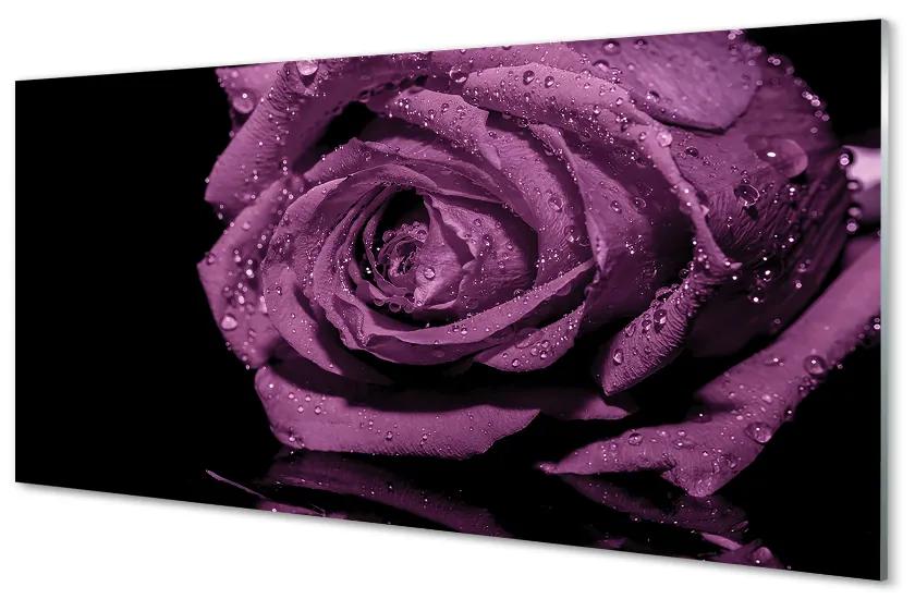 Pannello paraschizzi cucina Rosa viola 100x50 cm