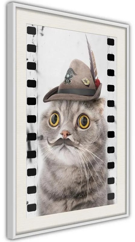 Poster  Dressed Up Cat  Cornice Quadri Cornice nera con pass-partout, Larghezza x Altezza Home decor 40x60