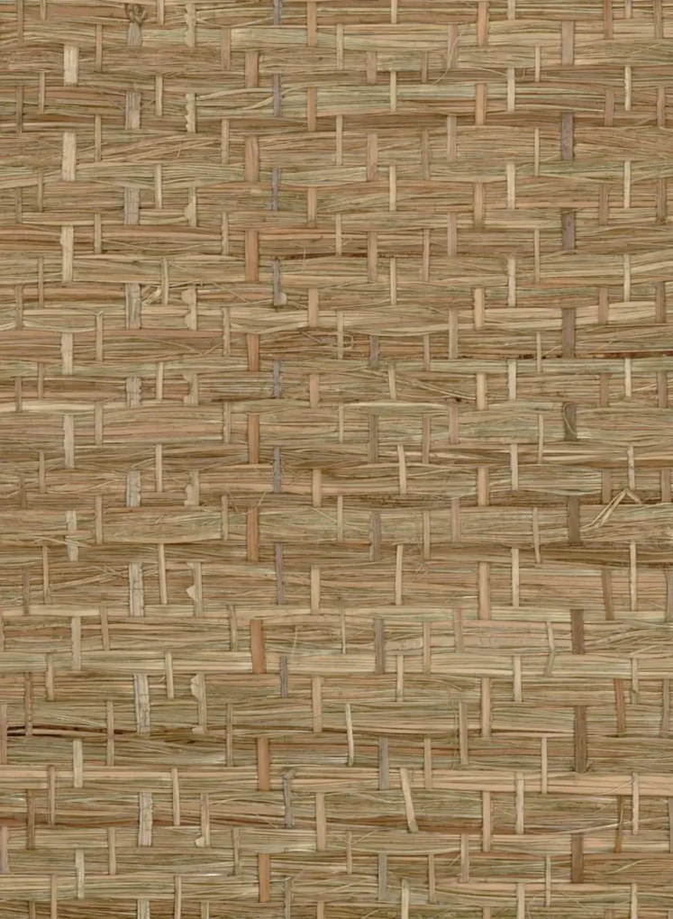 CMO Paris Tapete Abaca Herbacé - Olive