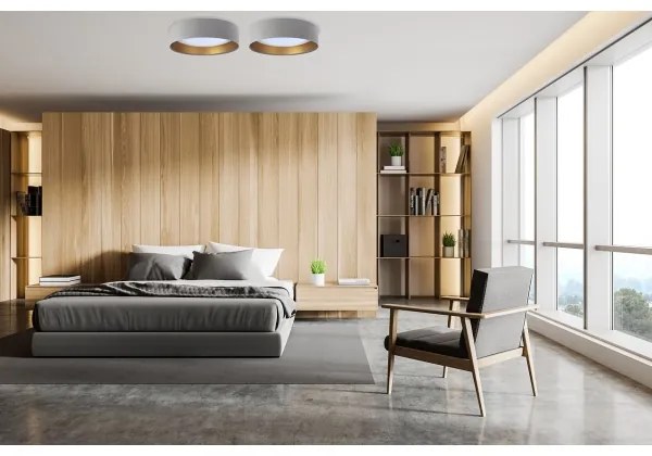 Plafoniera LED GALAXY 1xLED/24W/230V grigia/dorata