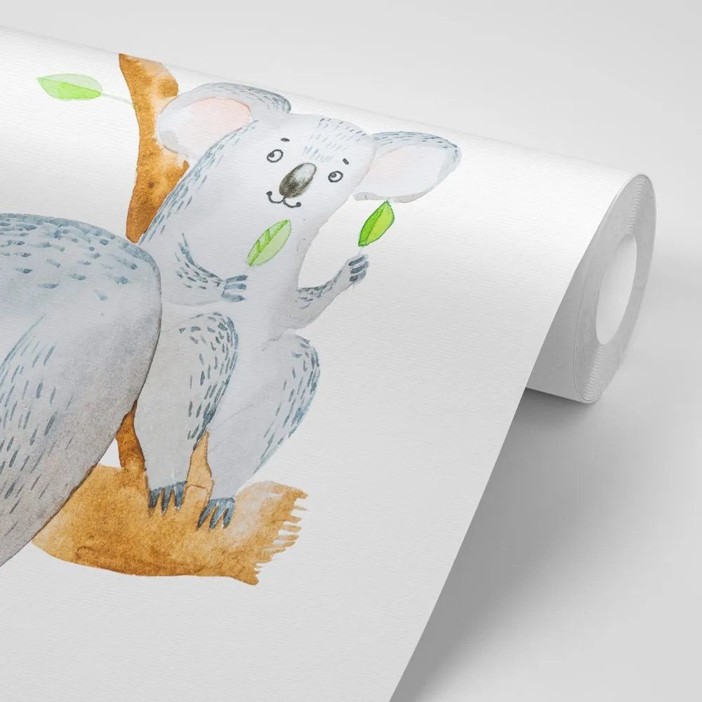 Carta da parati – Koala carini