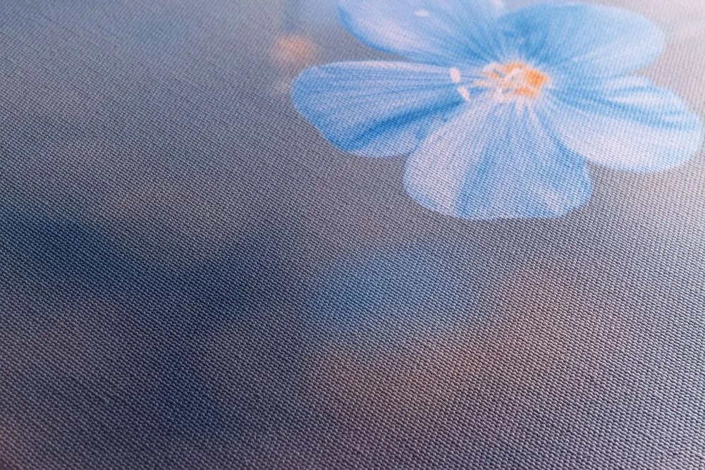 Quadro su tela – Fiori blu su sfondo vintage