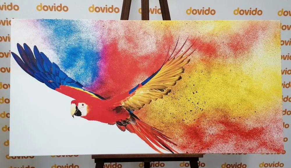 Stampa su tela – Volo di pappagallo