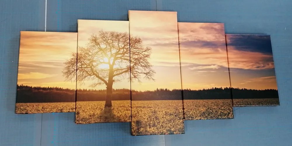 Quadri 5 pezzi – Albero solitario