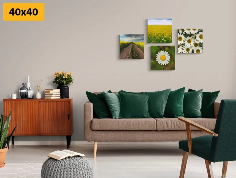 Set di quadri – Prato pieno di fiori