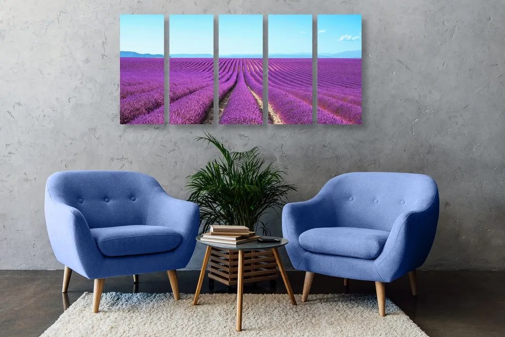 Quadri 5 pezzi – Campo di lavanda infinito