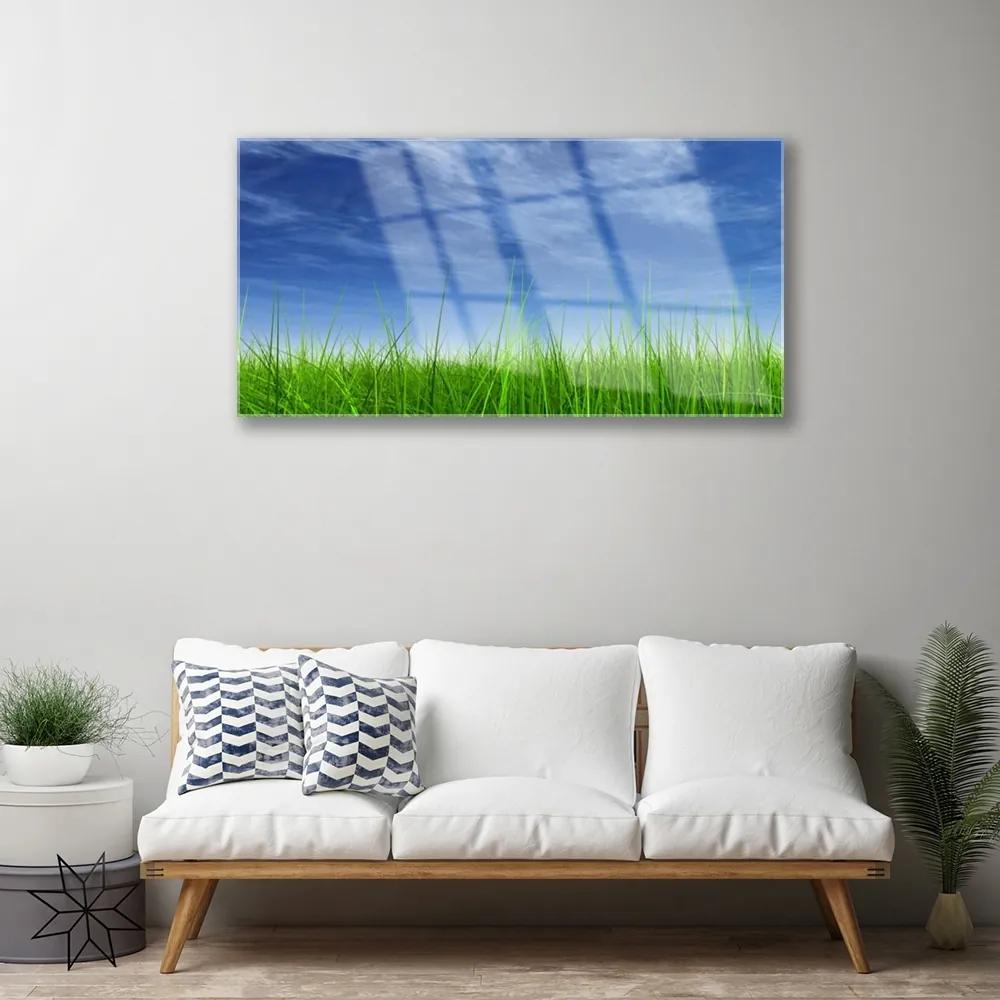 Quadro su vetro acrilico Cielo, erba, natura 100x50 cm