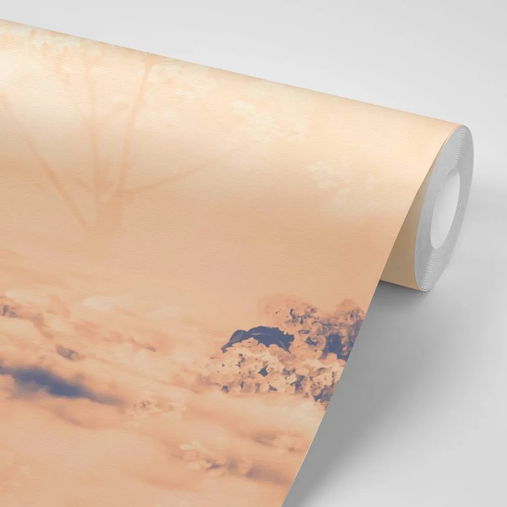 Carta da parati – Tra le braccia degli alberi Peach Fuzz