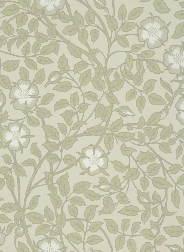 Little Greene Tapete Briar Rose - Green Stone