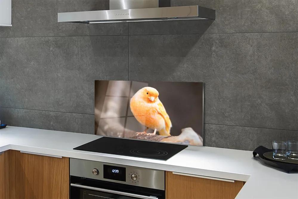Pannello paraschizzi cucina Ramo di un pappagallo 100x50 cm