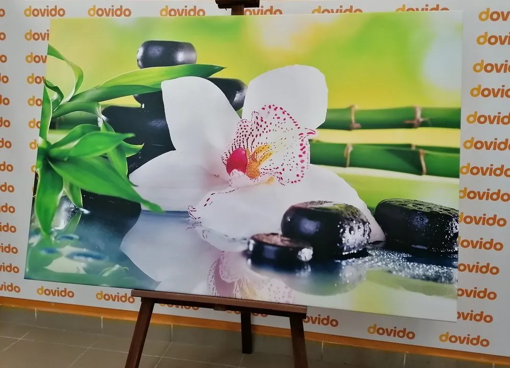 Quadro su tela – Orchidea giapponese