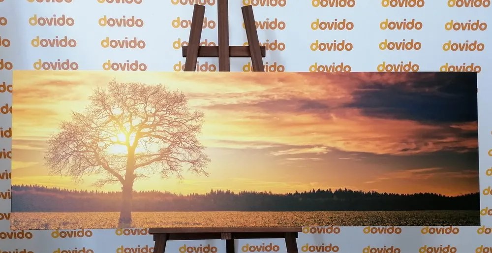 Quadro su tela – Albero solitario