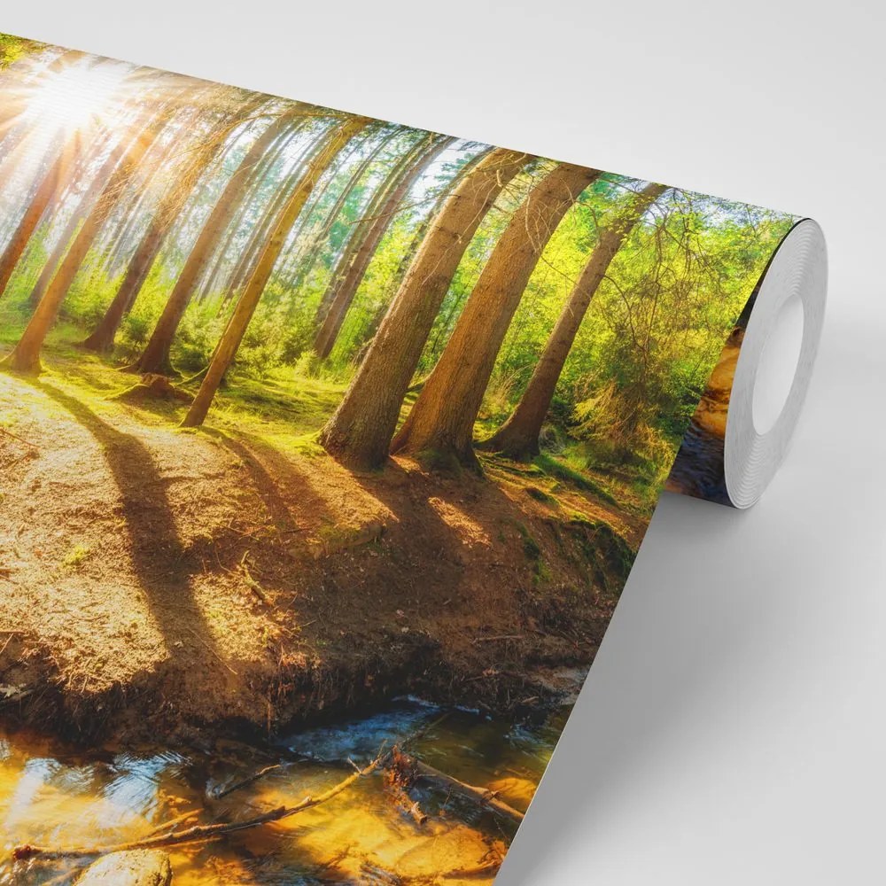 Carta da parati – Foresta da Favola