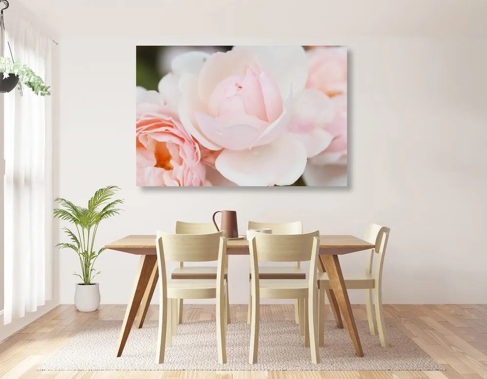 Quadro su tela – Pieno di rose