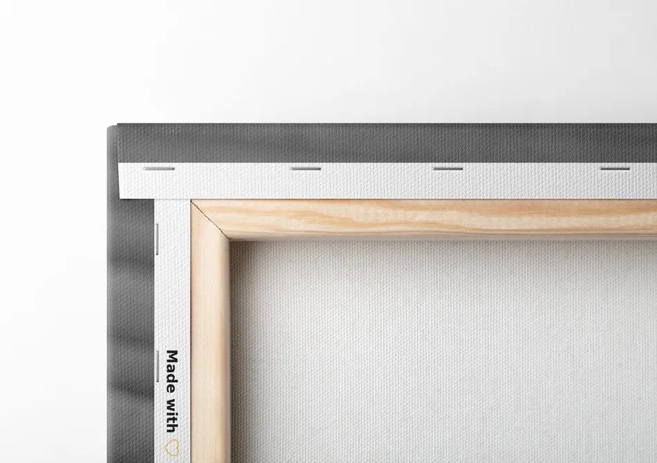 Stampa su tela – Pietra meditativa in bianco e nero
