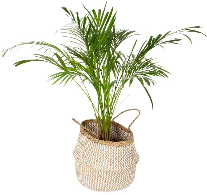 Cesto portaoggetti in seagrass chiaro , ⌀ 35 cm Zic Zac - Compactor