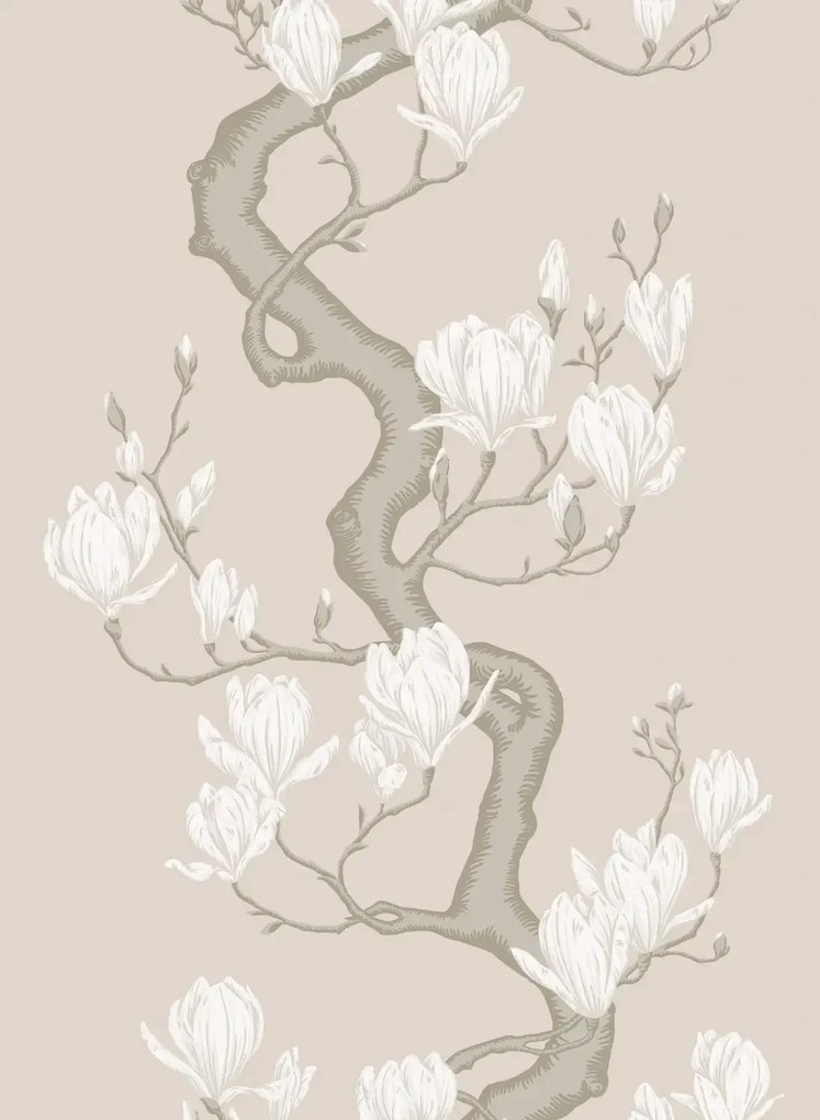Cole & Son Carta da parati Magnolia Tree - Soft Cream and Powder