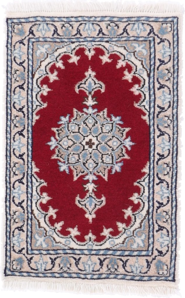 Nain Tappeto 40x60 (Iran) Annodato A Mano