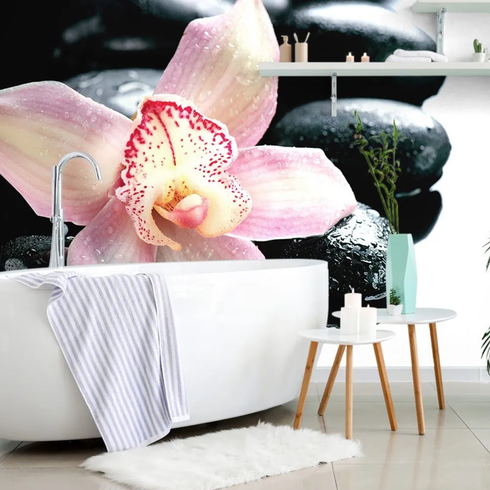 Carta da parati – Orchidea esotica